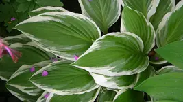 DSCN2811.webp