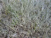 IMG_0012.webp