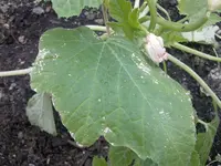 20052012230.webp