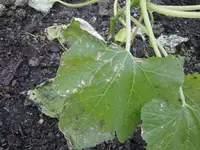 20052012231.webp
