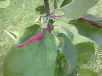 20052012227.webp