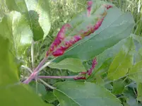 20052012228.webp