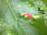 20052012232.webp
