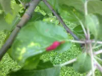 20052012233.webp