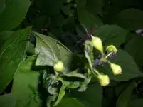 CIMG0011.webp