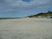 P1020541.webp