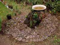DSC00409.webp