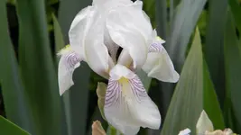 DSCN2805.webp