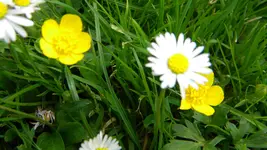 DSCN2839.webp