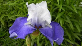DSCN2843.webp