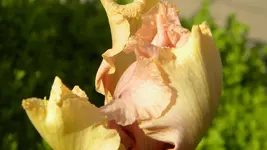 DSCN2844.webp