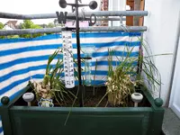 k-DSCF5038.webp