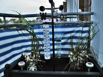 k-DSCF5040.webp