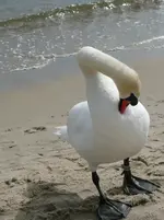 P1020501.webp