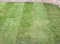 Foto 1-2.webp