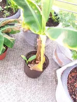 100_2599.webp