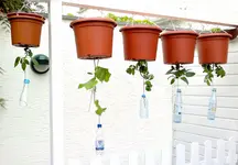 Upside Down Flaschen.webp