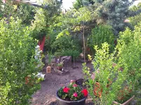 CameraZOOM-20120521190632578.webp