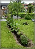 comp_DSC01642.webp