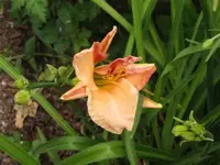 012.webp
