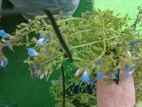 22052012496.webp