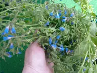 22052012497.webp