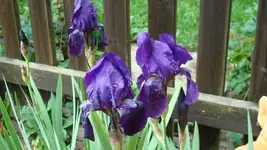 5476.webp