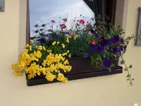 Blumenkasten.webp