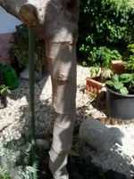 SAM_0690.webp