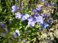 SANY0015a.webp