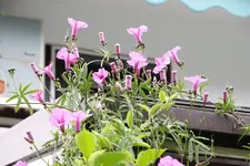 IMG_6064.webp