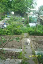 100_3049_5_1.webp