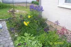 100_3045_1_1.webp