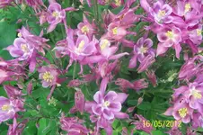 100_3053_9_1.webp