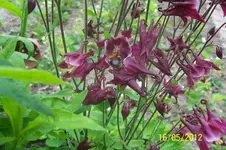 100_3057_13_1.webp