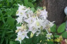 100_3058_14_1.webp