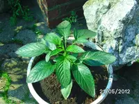 k-BILD0875.webp
