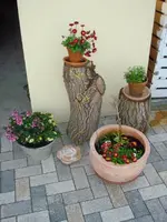 DSC06650.webp