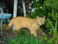 DSC06667.webp
