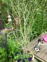 2012-05-23 11.49.31.webp