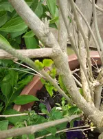 2012-05-23 11.49.49.webp