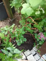 2012-05-23 11.50.06.webp