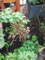 2012-05-23 11.50.16.webp