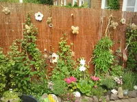 2012-05-23 11.51.33.webp