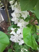 2012-05-23 12.21.46.webp