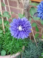 2012-05-23 12.21.26.webp