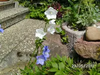 BILD0020.webp
