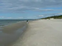 P1020539.webp