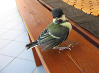 landeplatz tisch.webp