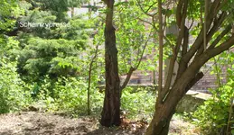Vorgarten.webp